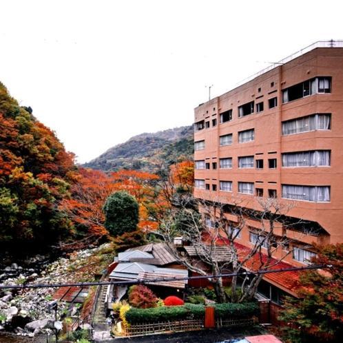 Hotel Okuyumoto Hakone Esterno foto